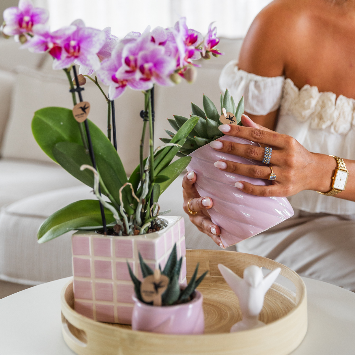 Kolibri Orchids | roze Phalaenopsis orchidee potmaat Ø9cm | Rotterdam | bloeiende kamerplant - vers van de kweker
