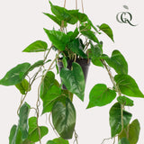 Plante artificielle - Philodendron scandens - Plante grimpante - 80 cm