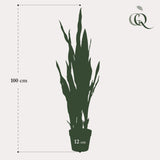 Plante artificielle - Sansevieria black coral - Langue de belle-mère - 97 cm