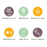 Hortensia - Hydrangea Magical Green Fire - Roze Groen - 6-10 Bloemen - 2 Planten - Pot 23cm Hoogte 55cm