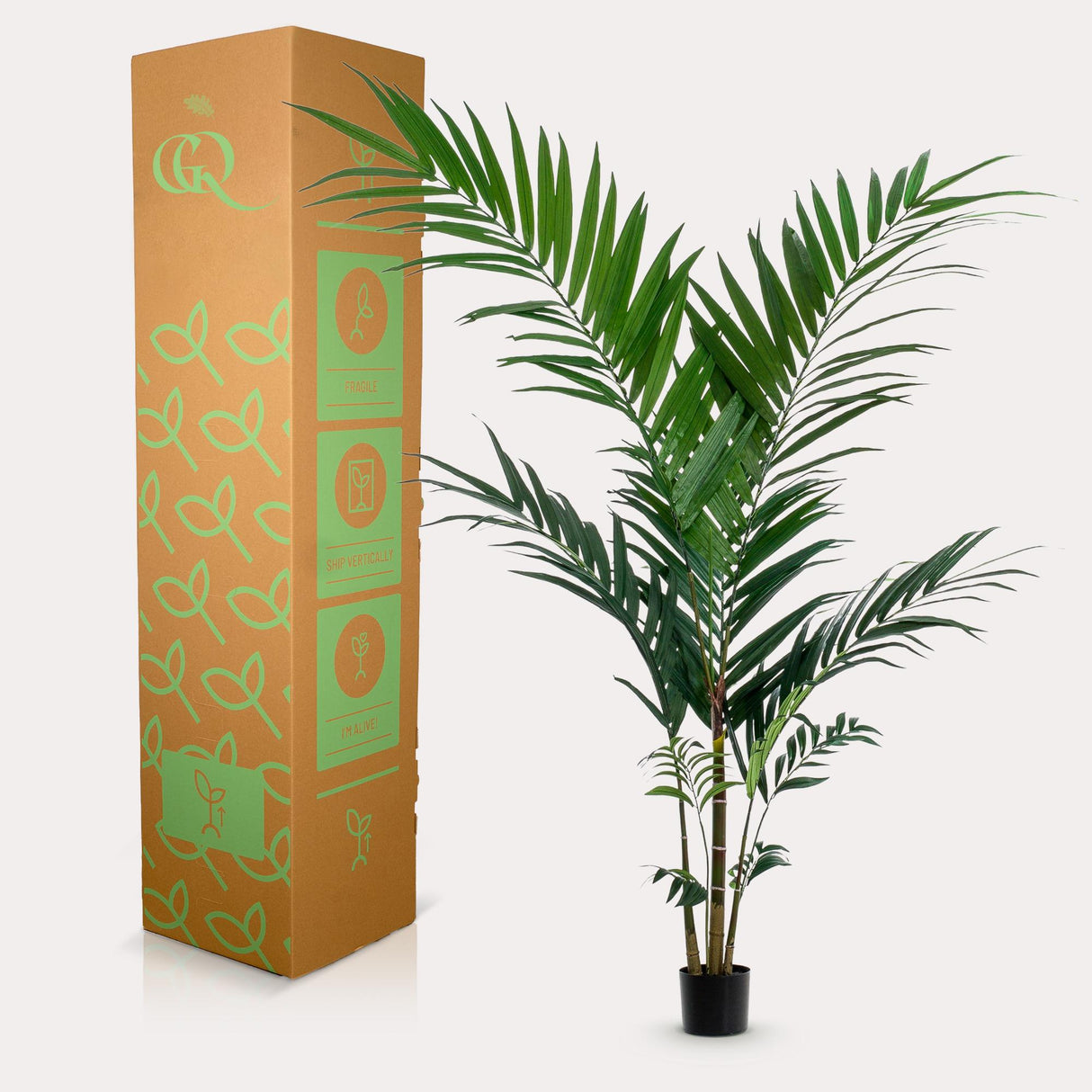 Kunstpflanze - Kentia - Kentiapalme - 150cm