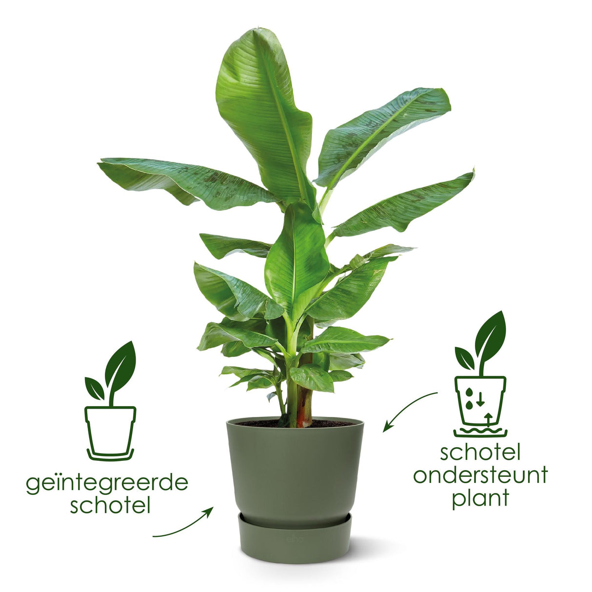 Pot elho Greenville Rund weiß - D39 x H37