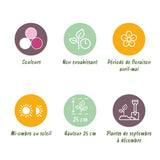 Green boutiQ - Bloembollen - Hyacinth Pastel mix - Diversen Pastel Kleuren - 10 stuks - Bolmaat 14/15 - XXL Pack