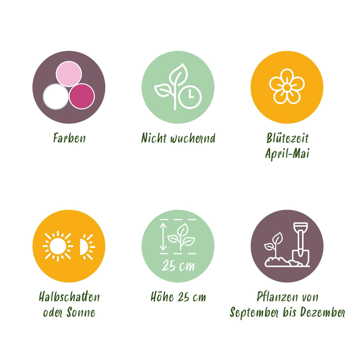 Green boutiQ - Bloembollen - Hyacinth Pastel mix - Diversen Pastel Kleuren - 10 stuks - Bolmaat 14/15 - XXL Pack