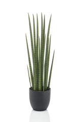 Kunstpflanze - Sanseveria Cylindrica - Bogenhanf - 70 cm