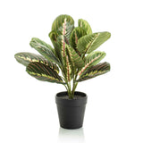 Maranta grün - 30cm - In schwarzem Topf - Künstliche Pflanze
