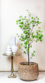 Kunstpflanze - Tropaeolum Speciosum - Kapuzinerkresse - 210 cm