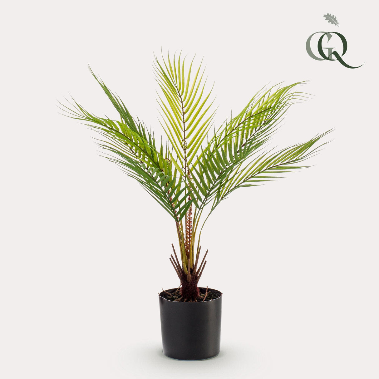 Kunstpflanze - Chamaedorea - Bergpalme - 50 cm