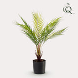 Kunstpflanze - Chamaedorea - Bergpalme - 50 cm