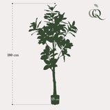 Kunstpflanze - Magnolia Grandiflora - 180 cm
