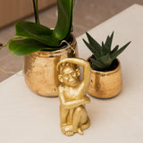 Kolibri Orchids | witte Phalaenopsis orchidee – Amabilis + Luxury sierpot gold – potmaat Ø9cm – 40cm hoog | bloeiende kamerplant in bloempot - vers van de kweker