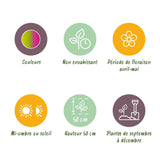 Green boutiQ - Bloembollen - Tulp Strawberry Lemonade - Diversen Kleuren - 12 stuks - Bolmaat 11/12 - XXL Pack