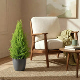 Cupressus Gold Crest Wilma - Kamer conifeer - Weinig onderhoud - Groen - met Potter Grijs - Pot 21cm - Hoogte 85-95cm