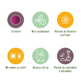 Green boutiQ - Bloembollen - Tulp Triumph Purple - Kleur Paars - 15 stuks - Bolmaat 11/12 - XXL Pack