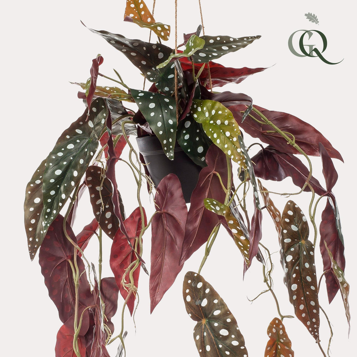 Kunstpflanze - Begonia Maculata - Gepunktete Begonie - 80 cm