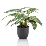 Calathea Zebrina en pot noir - 42 cm de hauteur - Plante artificielle
