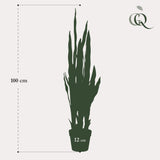 Plante artificielle - Sanseveria Trifasciata - Langue de belle-mère - 97 cm