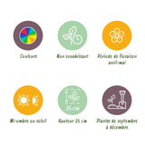 Green boutiQ - Bloembollen - Hyacinth mix - Diversen Kleuren - 10 stuks - Bolmaat 14/15 - XXL Pack