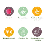 Green boutiQ - Bloembollen - Tulp Triumph Pink - Kleur Roze - 15 stuks - Bolmaat 11/12 - XXL Pack