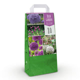 Green boutiQ - Bulbes de fleurs - Mélange de bulbes de jardin Allium - Couleurs variées - 80 pièces - Emballage cadeau