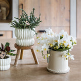 Kolibri Orchids | Witte Phalaenopsis Orchidee - Botanic Nazaré in Melody Sierpot - Ø9 cm