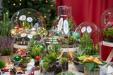 Berry Kerstmis terrarium - Planten terrarium  - DIY kit Christmas - Ø 19 cm ↑ 20 cm