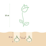 Green boutiQ - Bloembollen - Tulp Strawberry Lemonade - Diversen Kleuren - 12 stuks - Bolmaat 11/12 - XXL Pack