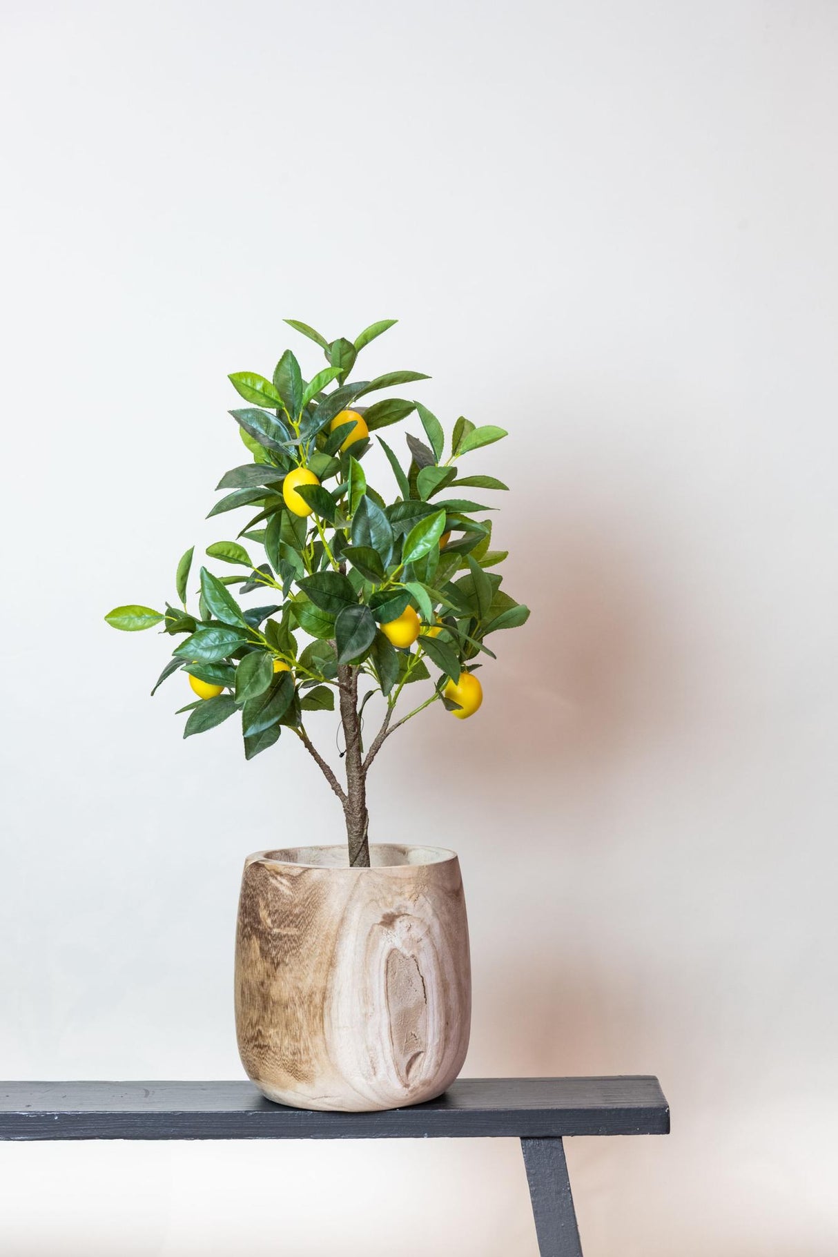Kunstpflanze - Citrus Limonia - Zitronenbaum - 75 cm