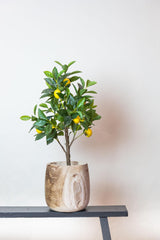 Kunstpflanze - Citrus Limonia - Zitronenbaum - 75 cm