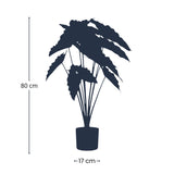 Alocasia 80cm - Kunstplant