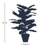 Calathea im Topf - 65 cm hoch - Künstliche Pflanze