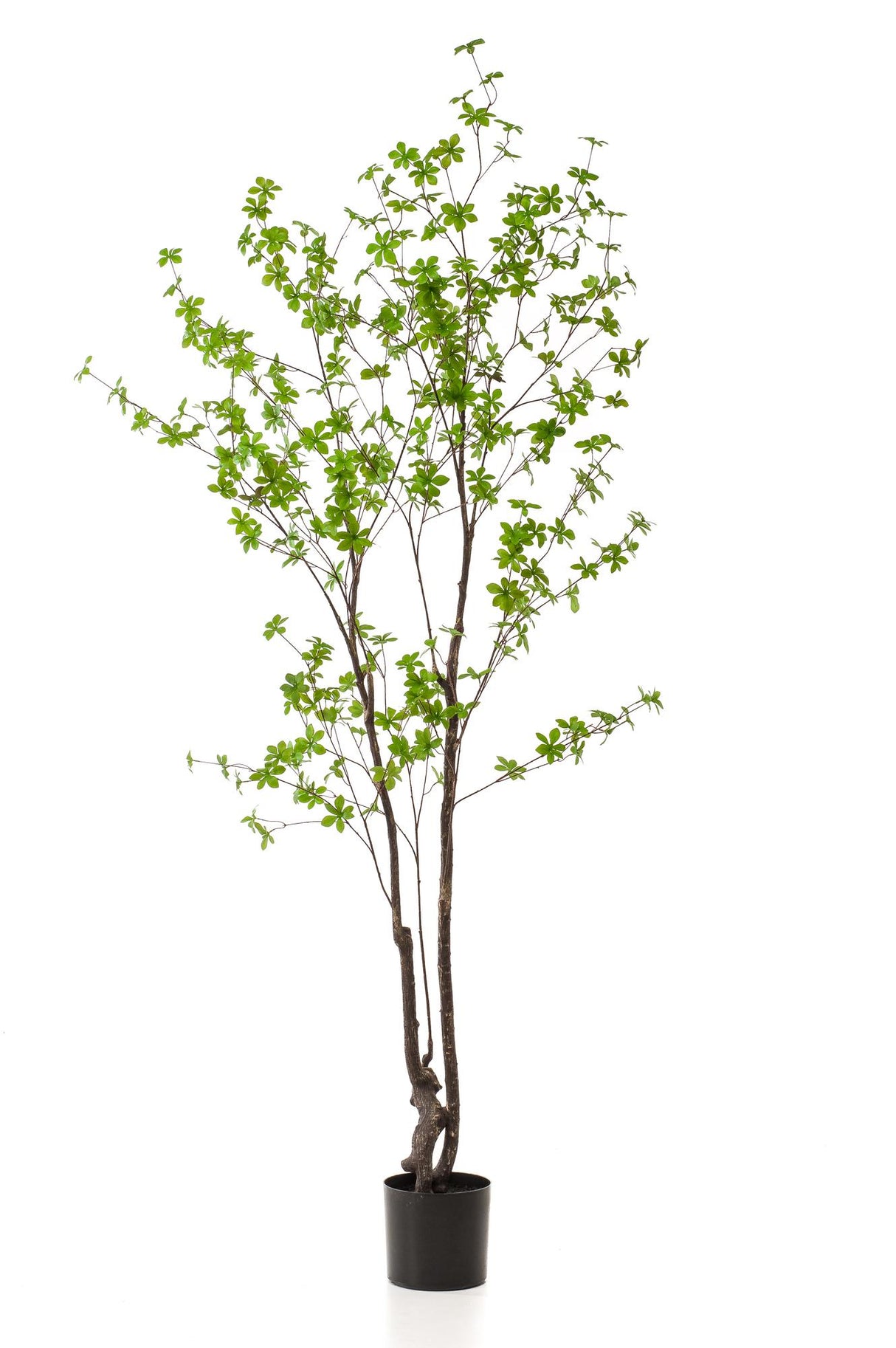 Kunstpflanze - Tropaeolum Speciosum - Kapuzinerkresse - 210 cm