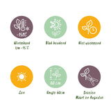 Green boutiQ - Haagplanten - Lavandula angustifolia Hidcote -  blad grijs - 6 planten - 1 strekkende meter - groenblijvend - pot 17cm hoogte 30cm