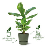 Pot elho Greenville Rund schwarz - D39 x H37