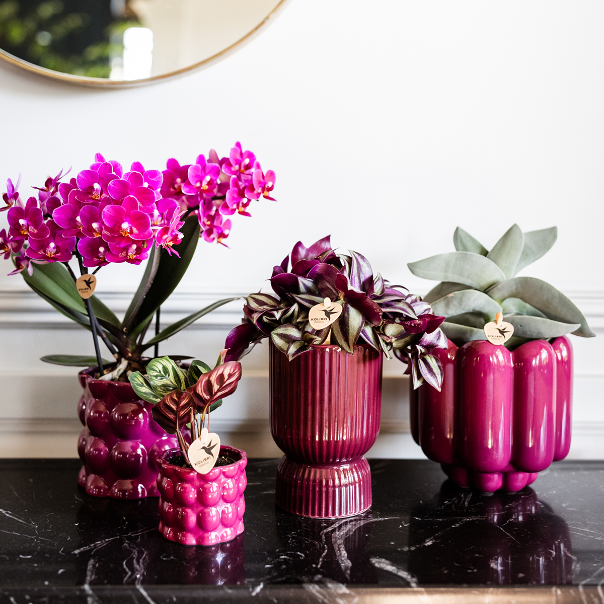 Kolibri Home | Diabolo sierpot | Ø9cm - Burgundy