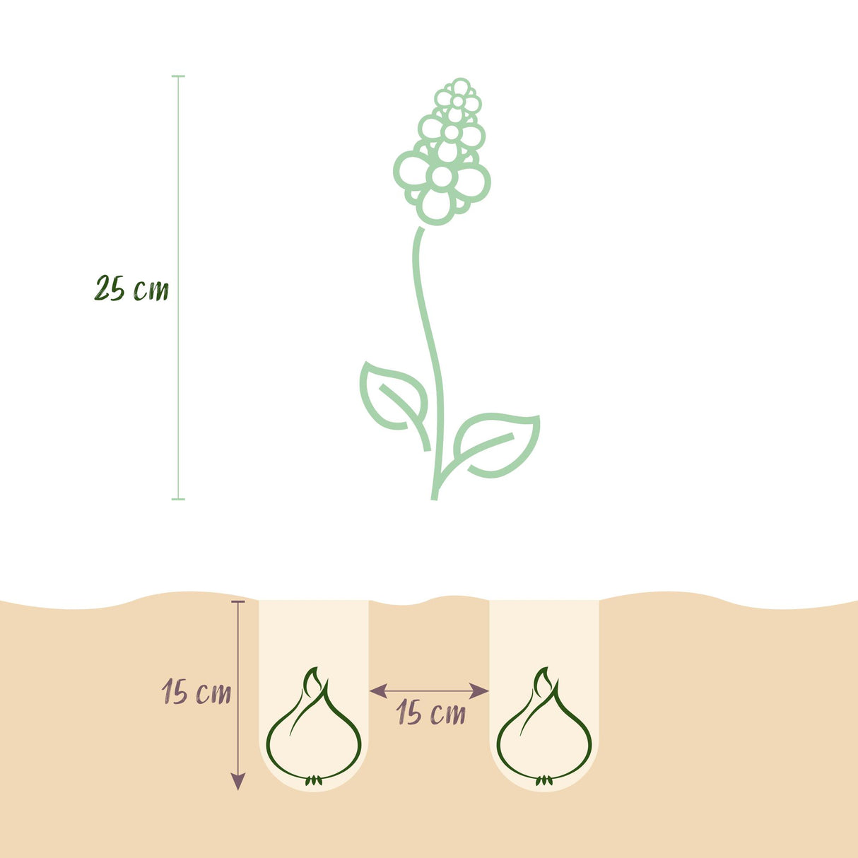 Green boutiQ - Bloembollen - Hyacinth mix - Diversen Kleuren - 10 stuks - Bolmaat 14/15 - XXL Pack