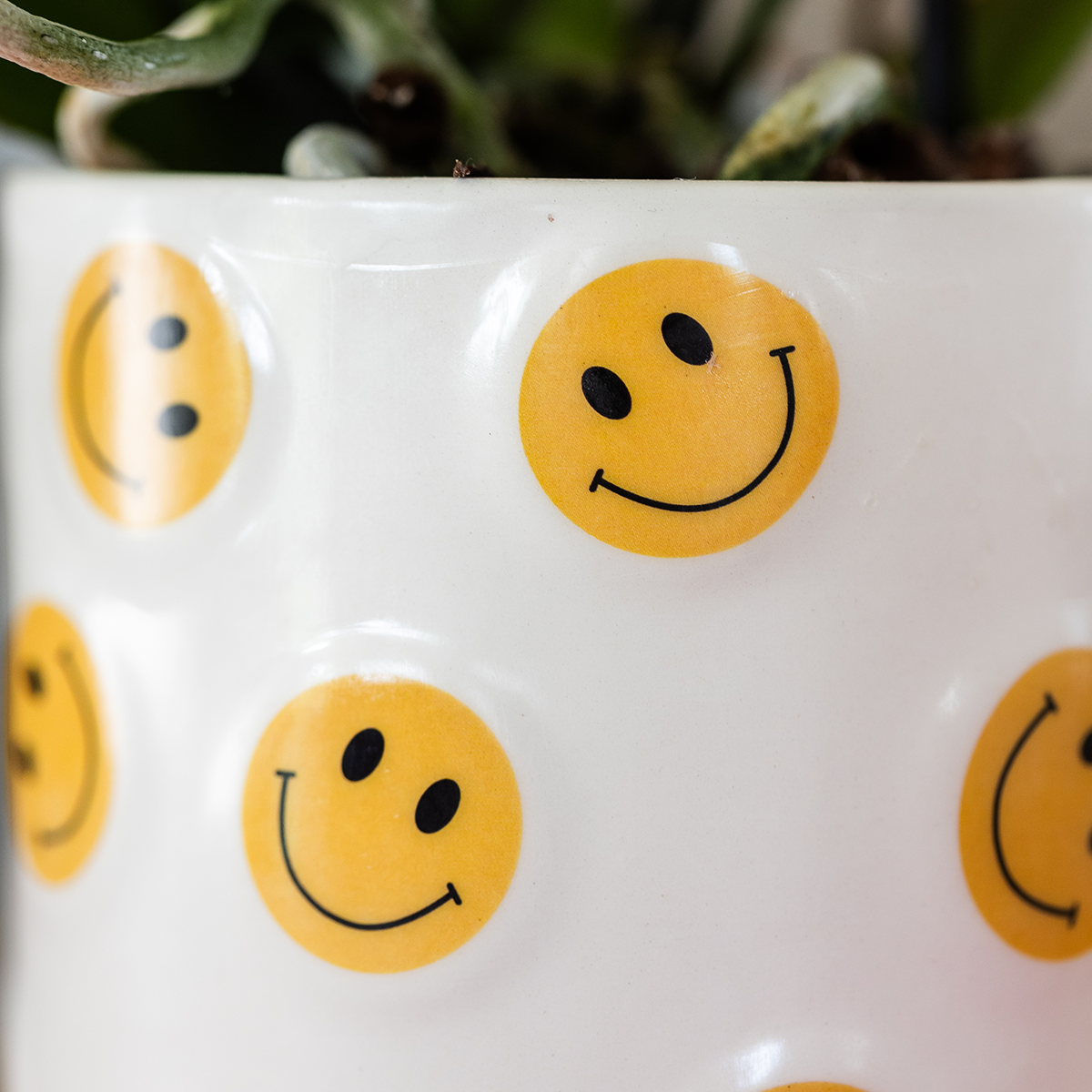 Plantenset Smiley | Gele Phalaenopsis Orchidee Albenga Ø9cm en Succulent incl. keramieken sierpotten
