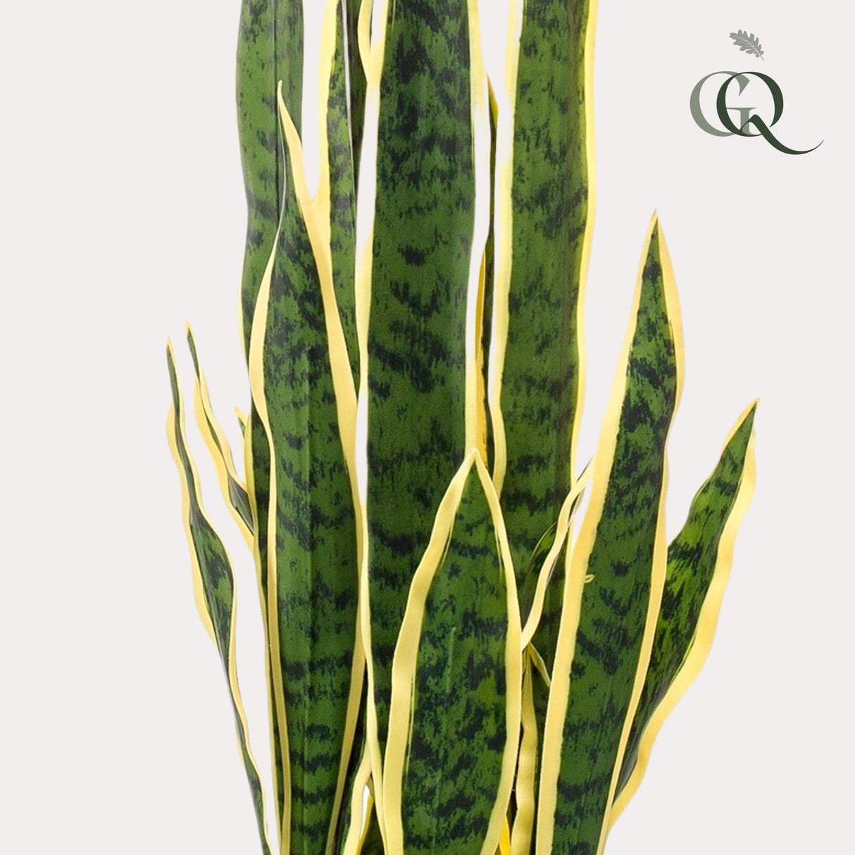 Plante artificielle - Sanseveria Trifasciata - Langue de belle-mère - 97 cm