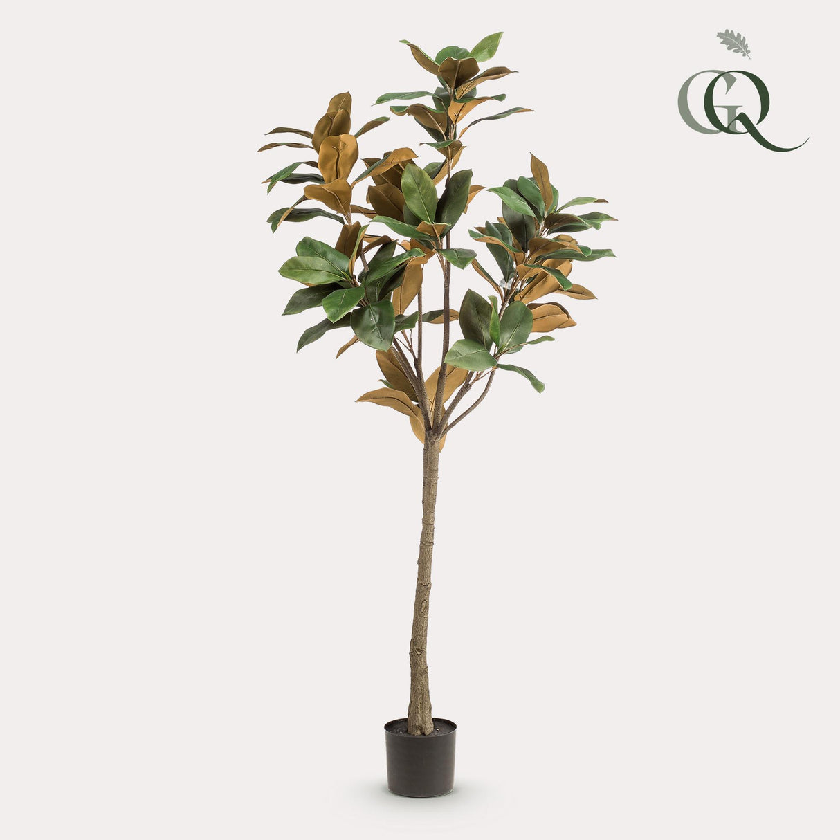 Kunstpflanze - Magnolia Grandiflora - 150 cm