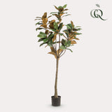 Kunstpflanze - Magnolia Grandiflora - 150 cm