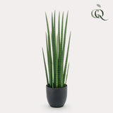 Kunstpflanze - Sanseveria Cylindrica - Bogenhanf - 70 cm