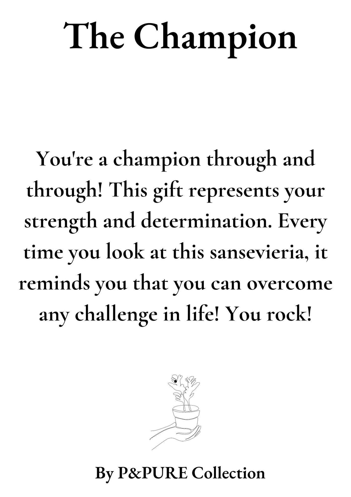 Sansevieria Gift "The Champion" WITH GREETING CARD! - Ø12cm - ↕30cm