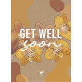 Kolibri Orchids | Planten cadeau beterschap | Lausanne orchidee met pot, kaart & cadeautas