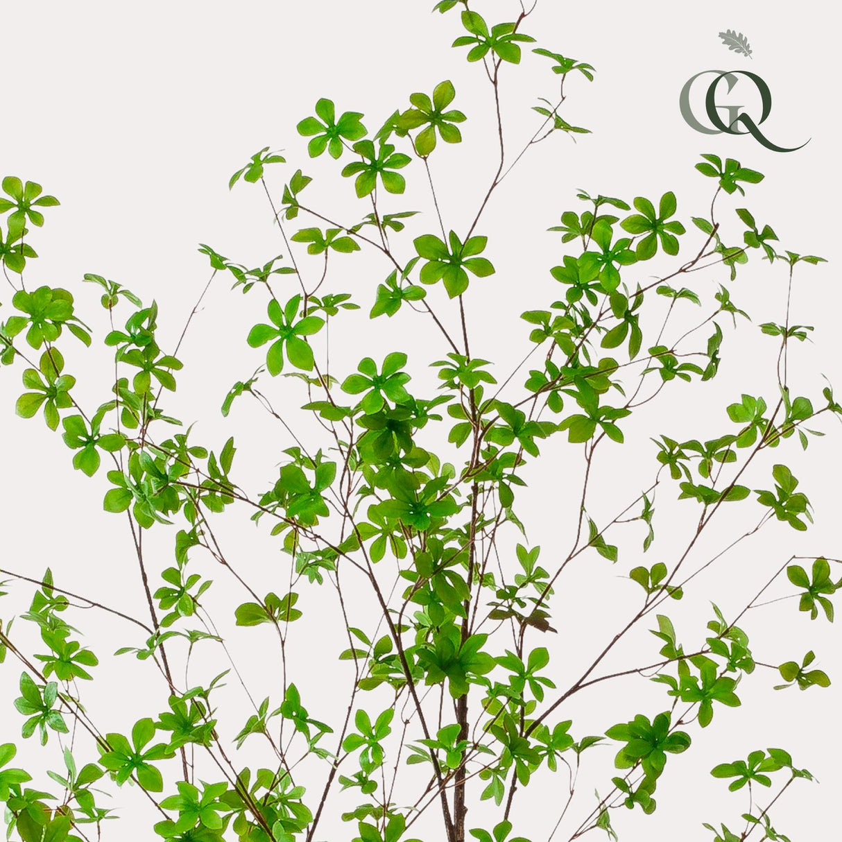Kunstpflanze - Tropaeolum Speciosum - Kapuzinerkresse - 210 cm