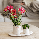 Kolibri Home | I love you sierpot - Ø6cm