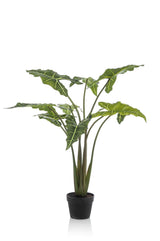 Kunstplant - Alocasia Frydek - Oreille d'éléphant - 120 cm
