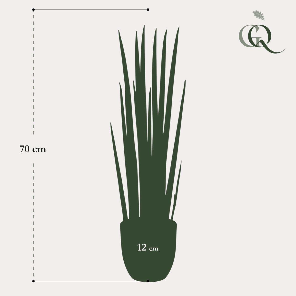 Kunstpflanze - Sanseveria Cylindrica - Bogenhanf - 70 cm