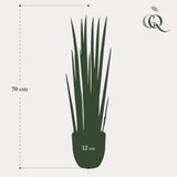 Kunstpflanze - Sanseveria Cylindrica - Bogenhanf - 70 cm