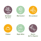 Green boutiQ - Haagplanten - Cupressocyparis leylandii - blad groen - 8 planten - 1 strekkende meter - groenblijvend - pot 9cm hoogte 35-40cm