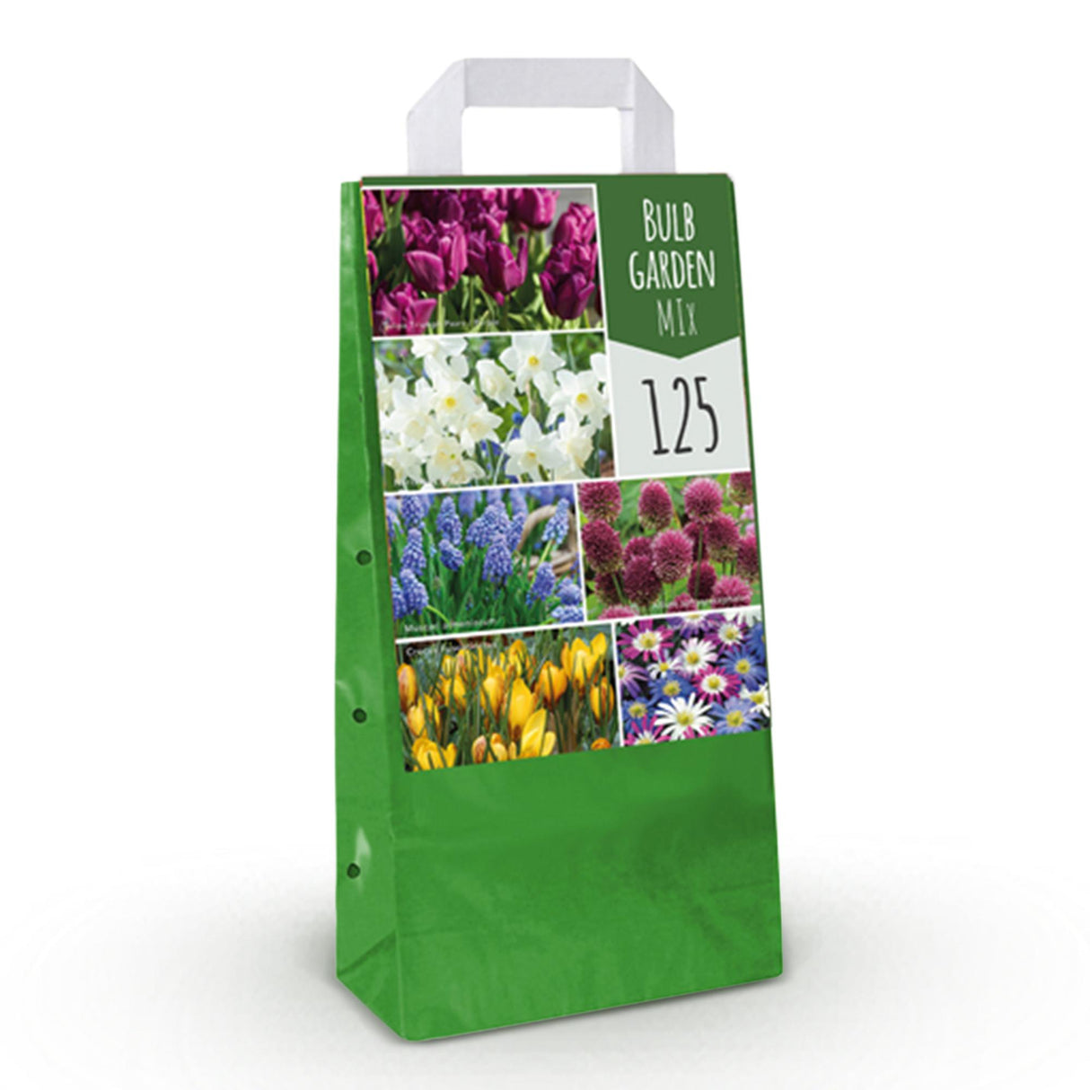 Green boutiQ - Bulbes de fleurs - Mélange Bulb Garden - Différentes variétés et couleurs - 125 pièces - Emballage cadeau